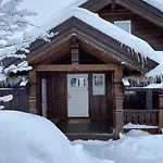 Prázdninový dům Bjornebuhytten, Geilo, 13 Sengeplasser Med Privat Jacuzzi Og El-bil-lading Geilo