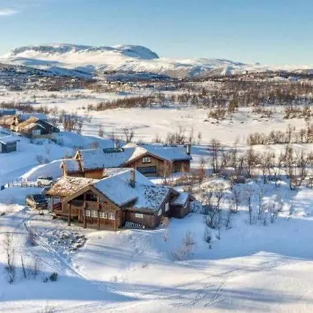 Bjornebuhytten, Geilo, 13 Sengeplasser Med Privat Jacuzzi Og El-Bil-Lading * Geilo