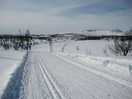Bjornebuhytten, Geilo, 13 Sengeplasser Med Privat Jacuzzi Og El-bil-lading *