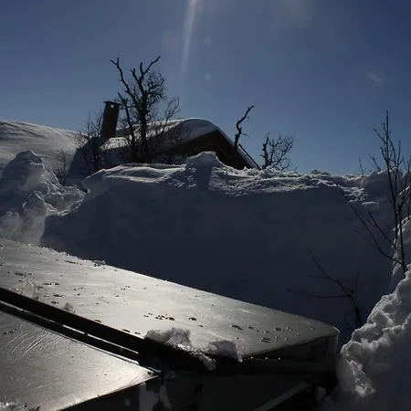 Bjornebuhytten, Geilo, 13 Sengeplasser Med Privat Jacuzzi Og El-bil-lading Holiday home Geilo