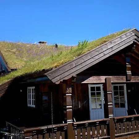 Bjornebuhytten, Geilo, 13 Sengeplasser Med Privat Jacuzzi Og El-bil-lading Holiday home