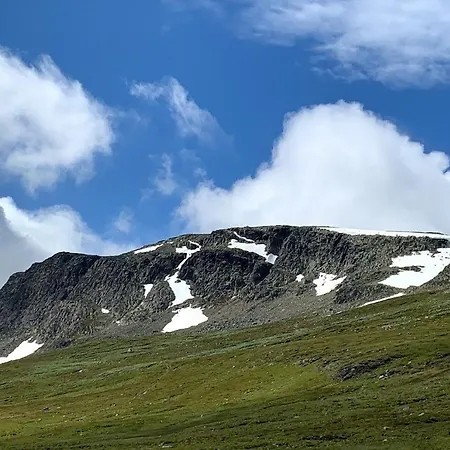 Bjornebuhytten, Geilo, 13 Sengeplasser Med Privat Jacuzzi Og El-Bil-Lading Holiday home Geilo