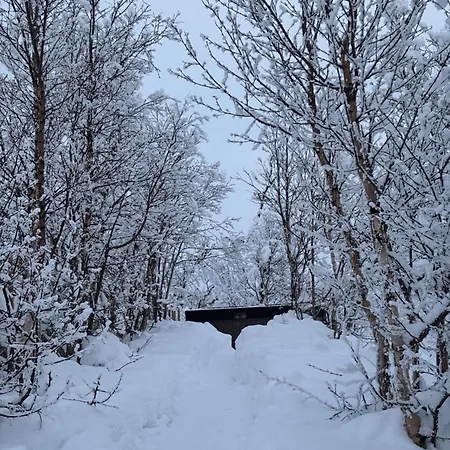 Bjornebuhytten, Geilo, 13 Sengeplasser Med Privat Jacuzzi Og El-bil-lading