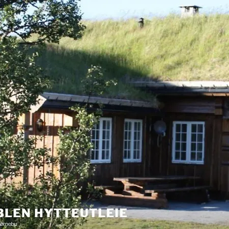 Bjornebuhytten, Geilo, 13 Sengeplasser Med Privat Jacuzzi Og El-bil-lading Holiday home