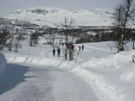 Bjornebuhytten, Geilo, 13 Sengeplasser Med Privat Jacuzzi Og El-bil-lading
