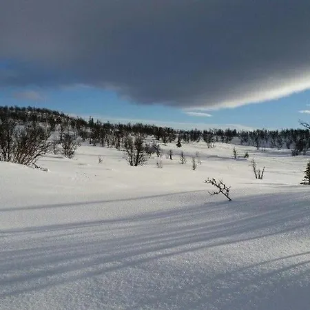 Casa vacanze Bjornebuhytten, Geilo, 13 Sengeplasser Med Privat Jacuzzi Og El-bil-lading