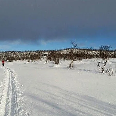 Bjornebuhytten, Geilo, 13 Sengeplasser Med Privat Jacuzzi Og El-bil-lading * Geilo